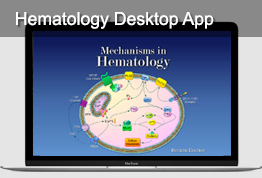 Hematology Desktop App