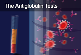 The Antiglobulin Tests