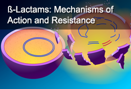ß-Lactams: Mechanisms of Action and Resistance