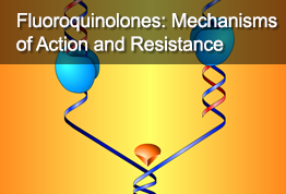 Fluoroquinolones: Mechanisms of Action and Resistance