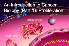 An Introduction to Cancer Biology (Part 1): Proliferation